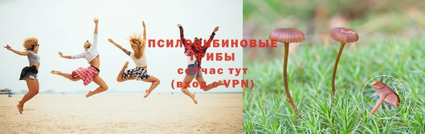 apvp Алексеевка