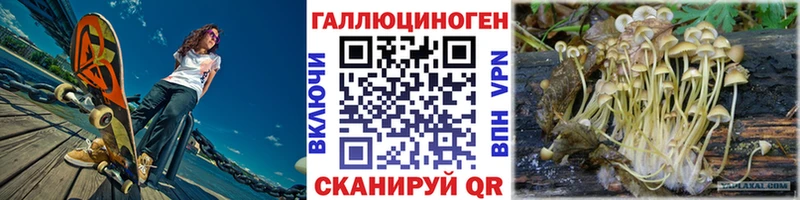 как найти наркотики Калачинск Псилоцибиновые грибы GOLDEN TEACHER
