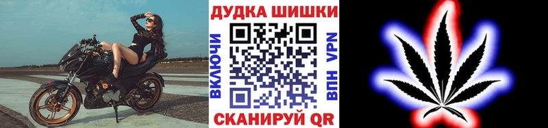 MEGA зеркало  Калачинск  Марихуана сатива 